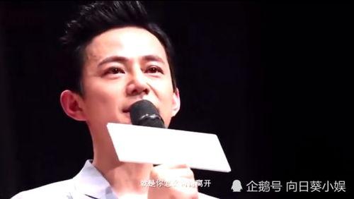 爆料何老师最新视频播放,揭秘幕后故事与精彩瞬间