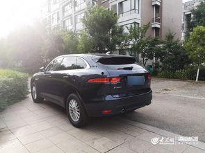 山东临沂大众网最新爆料